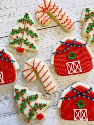 25 of the Best Decorated Christmas Sugar Cookies