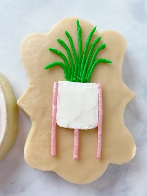 how to decorate houseplant sugar cookies