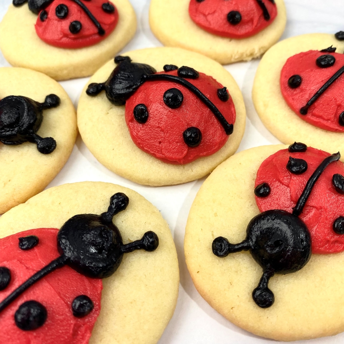 How to Decorate Ladybug Cookies with Buttercream Frosting Beginner Friendly Tutorial