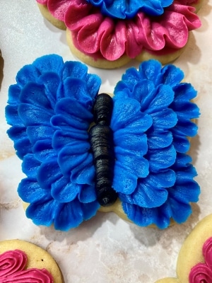 flower butterfly cookies for an Encanto birthday