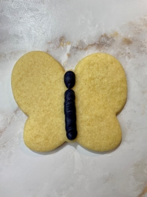 piping the butterfly head and body in black buttercream